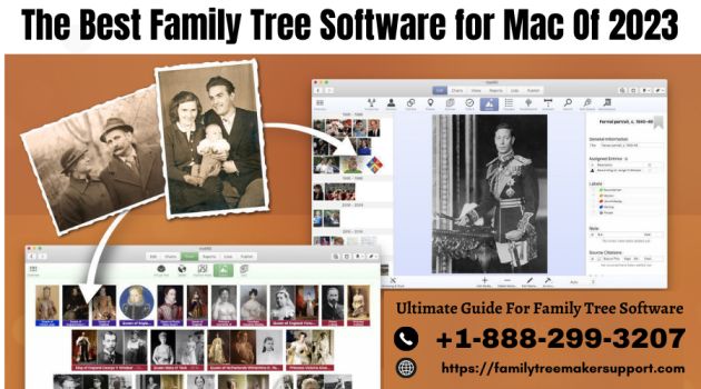The Best Family Tree Software For Mac Of 2023